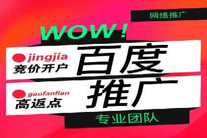 SEM托管代运营案例解析：ROI大幅提升的秘诀