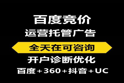 百度搜索结果优化：SEO推广的经典案例